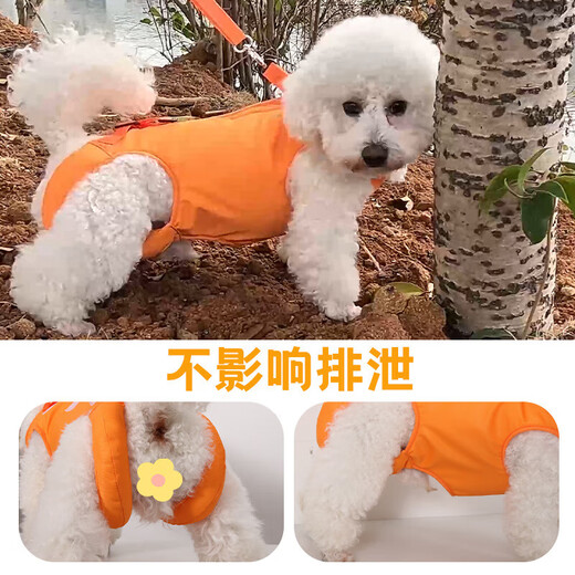 New dog auxiliary belt for outdoor traction and walking, rear leg auxiliary belt, elderly pet auxiliary belt, orange L, bust 47-65cm