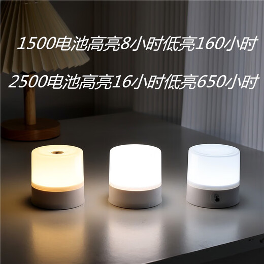 充电触摸拍拍小夜灯婴儿喂奶换尿布台灯床上睡眠宿舍酒吧定制露营 2500mAh正白光 充插两用长续航