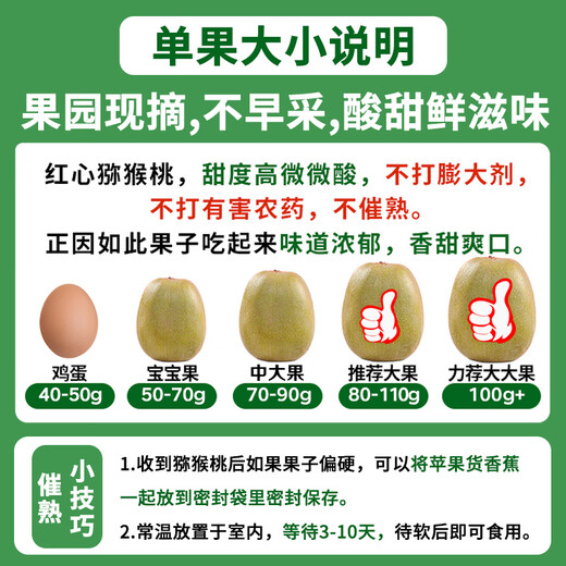 Jingdida Pujiang Red Heart Kiwi Fruit 24 Extra Large Fruit Single Fruit 100g+ Kiwi Fruit Straight from the Source