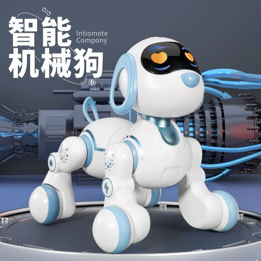 Intelligent Remote Control Stunt Robot Dog Programmable Electric Pet Cat chant et danse Robot Toy Boy Yingjia 6602 Dormitory Cat USB Rush Direct