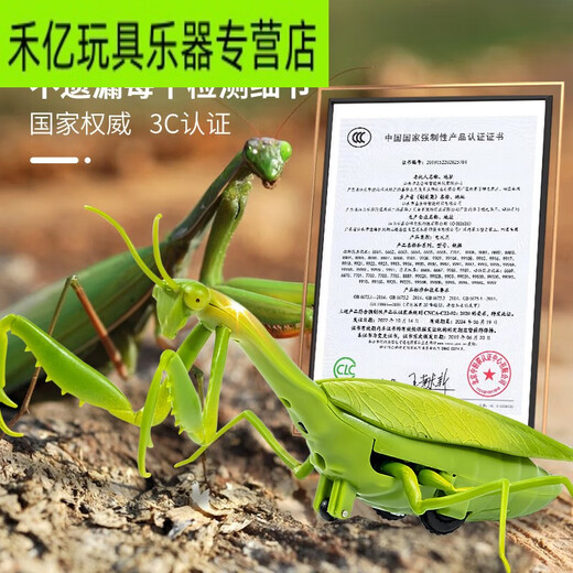 山头林村遥控螳螂电动仿真玩具抖音整蛊神器蟑螂男孩会动的蜘蛛爬行小动物 [经典版-遥控瓢虫]红色款9922+螺 官方标配
