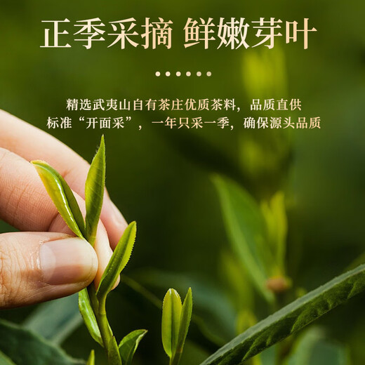 一杯香乌龙茶武夷山正岩大红袍兰花香一级250g礼盒装茶叶自己喝送礼品袋