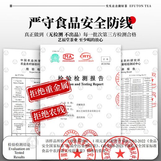 Yifutang Green Tea, Jiangsu's original Biluochun special selection 70g, 2025 new tea, spring tea canned tea, self-drinking
