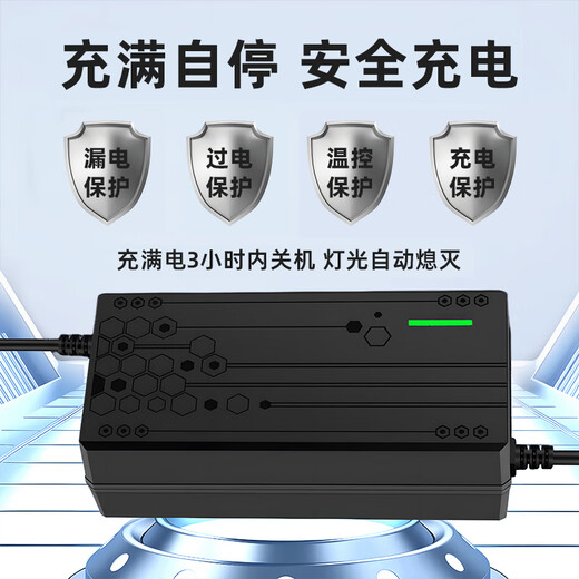 Electric vehicle battery charger is suitable for Amayadi Xinri Tai bell pocket knife three-wheel 48V12AH60V20AH battery lead-acid universal T-type 48V20Ah universal T-type plug