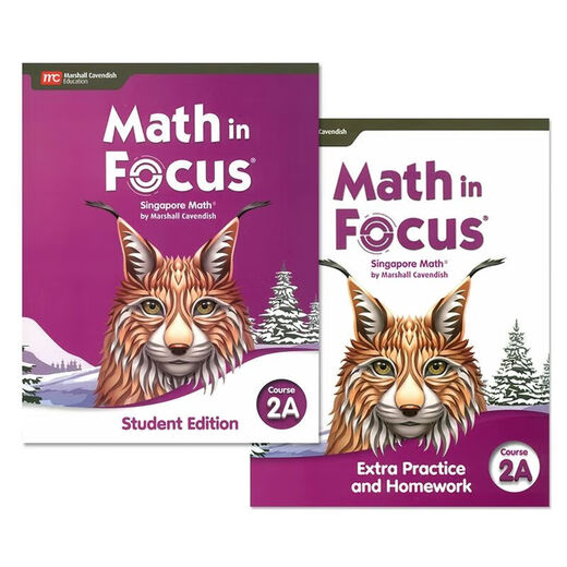 新加坡数学Math in Focus新版678年级初中数学教材原版进口MC出版 Course 3B 学生书八年级下册