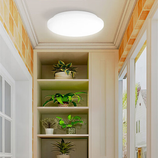 Philips LED ceiling light ultra-thin three-proof balcony light bedroom aisle simple corridor light Hengyan insect-proof and mosquito-proof 24W white light