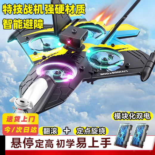 Lebender Stein, ferngesteuerter Flugzeugschaum für Kinder, stoßfest, 6–12 Jahre alt, Drohnenflugsimulationsmodell für Kinder, Spielzeug, ferngesteuerter Kämpfer, Hindernisvermeidungsmodell, intelligenter Hindernisvermeidungsschwebeflug + Doppelbatterien + Geschenkbox, ferngesteuerter Schaumstoffkämpfer für 3–6 Jahre alte Jungen