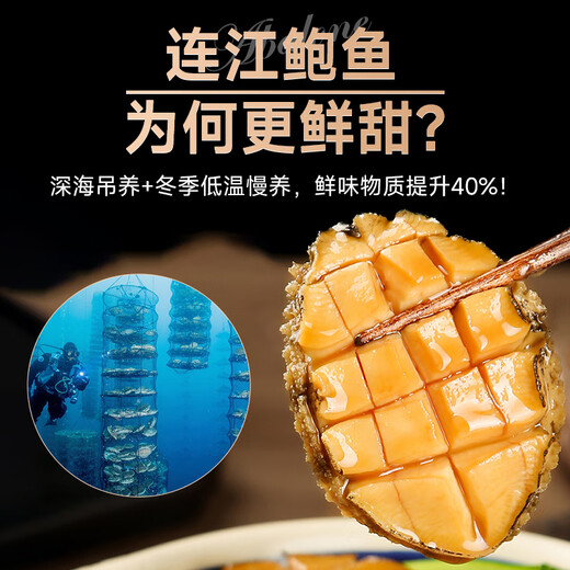 Linglue Fujian fresh frozen large abalone, net weight 400g, 8 pieces box, abalone hot pot barbecue, shellfish and seafood, fresh