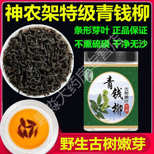 Xiuyue kehrt Qingqian Liu [2025 neu