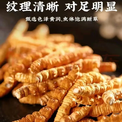 藏芝翁高海拔冬虫夏草精选头茬干虫草高端滋补礼盒送长辈送领导送客户 大断草50克【拍50克发55克】送5克