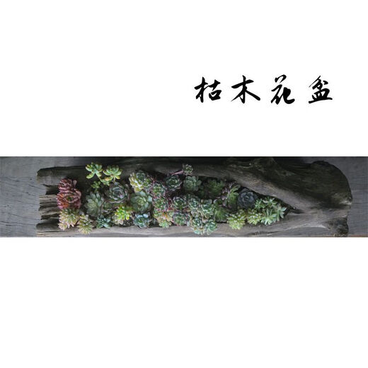 多肉木头花槽自然原木质树根枯木制花盆禅意石斛多肉植物朽木花盆 黑色 1355