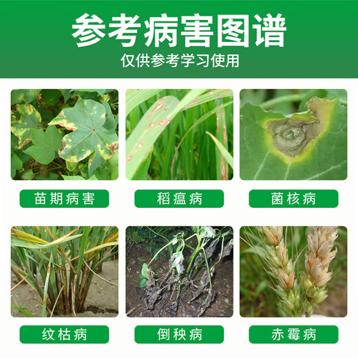 Tianguan 50% carbendazim seedlings, fruits, vegetables, flowers, gardening, leaf spot, head blight, universal fungicide 200g*1 bag