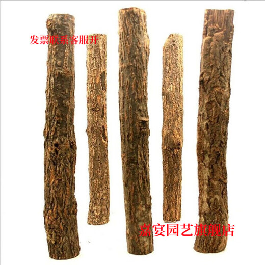 Champagne trunk underwater forest ornaments, pure natural water and land tank, rainforest tank, landscaping, climbing pet turtle terrace, 1-2 cm in diameter and 20 cm long.