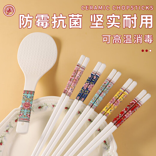 木之初 景德镇国风珐琅彩陶瓷筷子防霉可高温消毒饭勺筷筒易洗餐具套装 珐琅彩五色陶瓷筷10双+饭勺