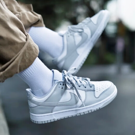 耐克（NIKE）男鞋 出游季Dunk Low舒适百搭耐磨透气低帮休闲板鞋 DD1391-702 DD1391-103 42