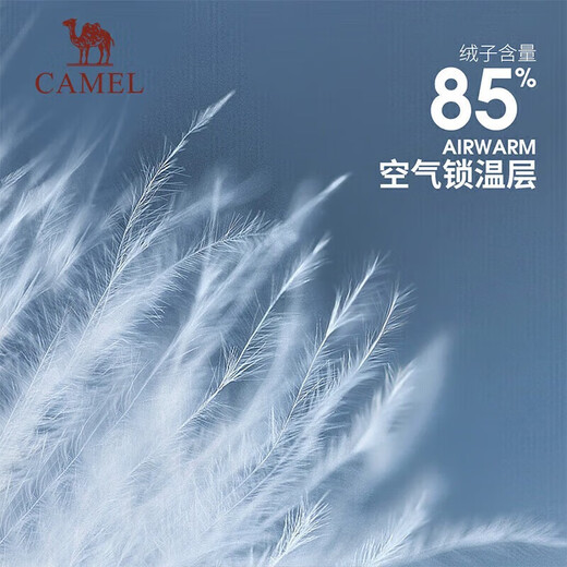 Camel (CAMEL) outdoor down jacket thickened and warm in winter for men and women, windproof and water-repellent graphene bread jacket