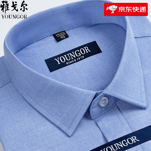 雅戈尔旗舰官方店短袖衬衫男夏季薄款中年商务免烫宽松格子正装衬衣 短袖DX6629 42 建议【155-170斤】