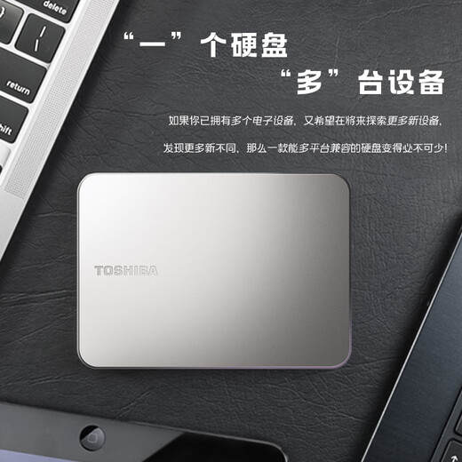 东芝（TOSHIBA）Mac 移动硬盘1t 2t 4t flex 适用Macbookpro 非固态 2TB 官方标配：收纳包+硅胶套+原装线+Typec转接头