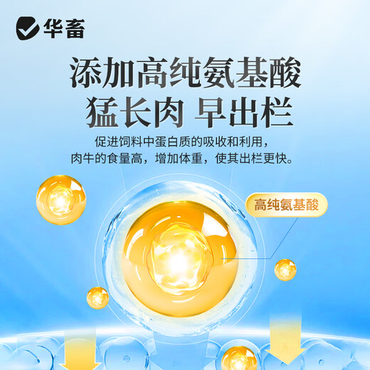 Huazhu 4% beef cattle fattening compound premix bovine peptide energy growth compound weight gain vitamin trace element feed 1 bag 4% beef cattle and sheep fattening premix 40Jin Jin equals 0.5kg