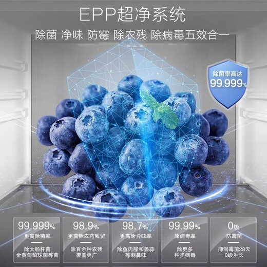 海尔冰箱655L十字对开四开门一级双变频风冷无霜家用超大容量EPP超净 双循环655升【整机十年延保】 BCD-655WGHTD9DG9U1
