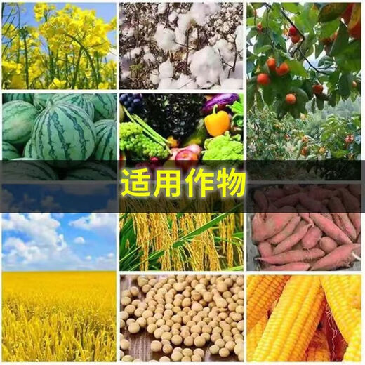 Agricultural granular compound fertilizer, superphosphate fertilizer, general purpose planting for melons, fruits and vegetables, rooting, strengthening seedlings, regulating soil 80 Jin Jin is equal to 0.5 kg Granular superphosphate original packaging