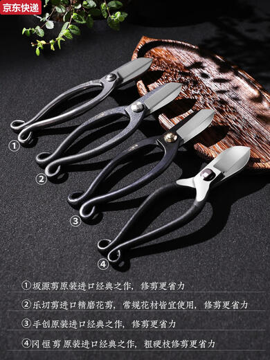 Qili Caichifang Japanische Blumenschere Künstler Verbundstahl Farne Handschere Blütenarrangement Schere Werkzeug Haushalt Gartenblüte Blumenschere importierte Leche Yusheng Blumenschere Schnitt RK-9926