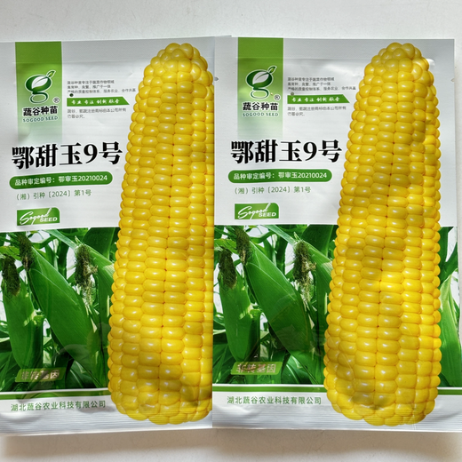 National Approval Corn Seed Sweet Waxy Corn Seed Hybrid Corn White Corn National Approval Corn Seed E Tianyu No. 9 Corn Seed Original 100g