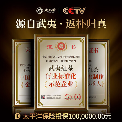 武夷朴肉桂武夷山岩茶乌龙茶茶叶礼盒装特级204g新茶高端节日礼品送长辈