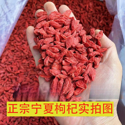 北京同仁堂【大颗粒】头茬宁夏枸杞子特级500克正宗中宁枸杞新货泡茶免洗 宁夏枸杞10克/每小包