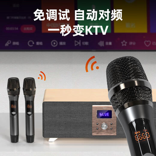 Patriot S116 Bluetooth audio echo wall TV speaker wireless home KTV theater karaoke audio set all-in-one machine with dual microphones jade white wood grain color