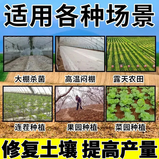 Soil-borne disease bactericide, agricultural soil fungicide, anti-repeat root rot, dead seedlings and root rot, 3 packs 500g*3