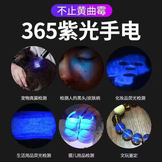 Testable Pesticides Purple Light Flashlight Purple Light Cat Ringworm Detection Lamp Cat Urine Fungus Detection Pen Jade Banknote Anti-Counterfeiting Identification Fluorescent Agent Detection Lamp Banknote Detection Lamp Regular 395 High Version Fast Charge