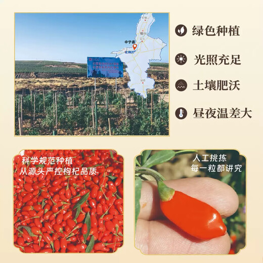 Guyuan Malerei Offizielles Geschäft Flaggschiff Ningxia erstklassiger Wolfberry-Tee Wein 100% authentisch vergleichbar mit Pangdonglai-Qualität [Big Partikel] One Jin [Jin ist gleich 0,5 kg] Pack (500 Gramm) + zwei Dosen + Spezialklasse