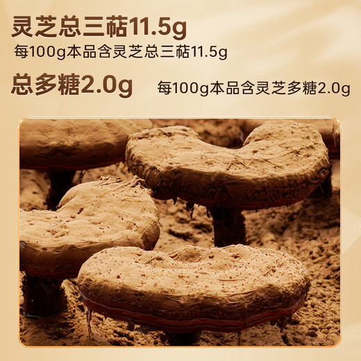 Lei Yunshang [Oficial] Breaking Wall Ganoderma Lucidum Spore Powder Changbaishan Red Ganoderma Lucidum Esencia Mayado de productos inmunes de salud inmune Productos nutricionales [Calificación] Ganoderma Lucidum Spore Powder 60G*12 Box
