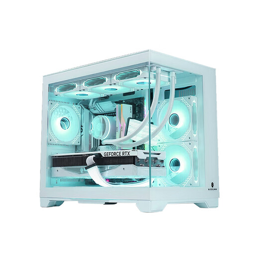 ASUS Tianxuan 5060Ti/5060 graphics card i514600KF/245KF assembled computer desktop complete machine DIY Hatsune Miku mod chassis game console white appearance sea view room i5 12490F+ASUS Tianxuan 5060Ti configuration two