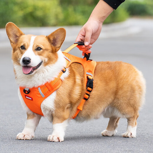 Front Pet Harness Dog Walking Traction Corgi Teddy Medium Dog Puppy Vest Type Explosion-proof Dog Harness Orange M