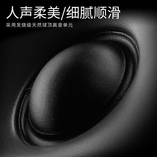 惠威（HiVi）D60F+天龙X580功放 家庭影院音响套装 2.0声道 客厅hifi高保真音响 落地音箱系统