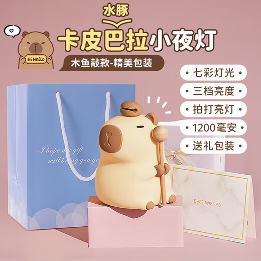 朵帆卡皮巴拉小夜灯女孩生日礼物女生实用10-14七夕情人节礼物送女友