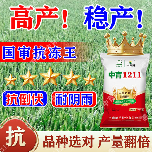 Новый морозостойкий сорт пшеницы Чжунъюй 121125, одобренный на национальном уровне, обладает высокой способностью к кущению, засухоустойчивостью, холодостойкостью, устойчивостью к полеганию, хорошей высокой урожайностью.