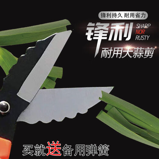 Diaohuang special scissors for cutting garlic, garlic scissors, garlic root scissors, garlic scissors, garlic scissors, green onions, ginger and onion scissors, 1 pair