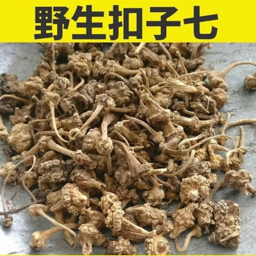 北京同仁堂中药材云南扣子七 珠儿参 珠子参 野生七 雪三七 钮子特级云南 精选无硫:扣子七50克