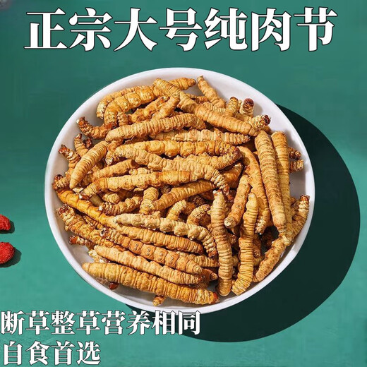 Cordyceps sinensis big broken grass pure meat festival affordable authentic big broken grass 50g gift box for gift for self-use. Authentic fine meat festival 5g pack for Tibet Nagqu authentic fine meat festival
