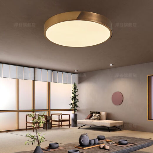 别墅入户大门灯防蚊虫防水过道灯进户门厅室外阳台照明户外吸顶灯 X3890-大号51CM/三色可调