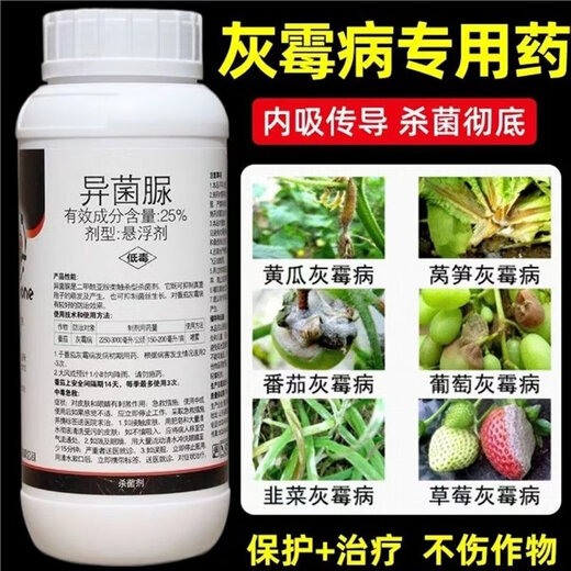 Special medicine for gray mold, iprodione fungicide, blight, cucumber, leek, tomato, strawberry, grape, fruit tree, gray mold pesticide 500g