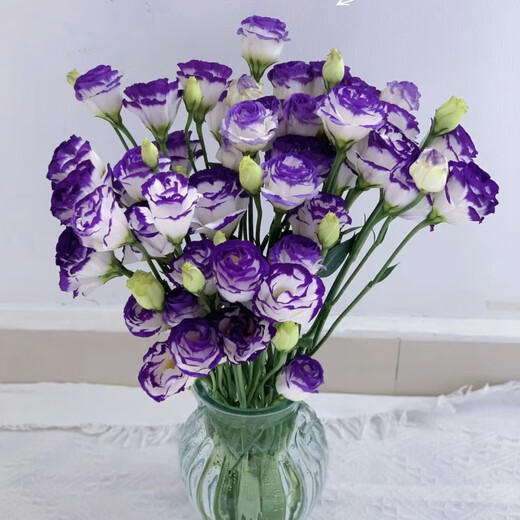 Kunming Lisianthus flower base direct hair indoor living room flower arrangement water for home bouquet gifts Yunnan direct batch random color Lisianthus + free grass 1 to 3 flowers with buds (no grass and preservative