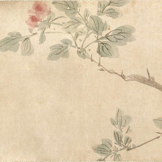 Chen Chun, The Spring Color Picture of Luoyang, The Flower and Bird Paintings sont des répliques antiques micro-sprayes de nouvelles peintures chinoises célèbres, des parchemins de peinture décoratifs, Ming Wen Zheng Ming Pictures de pin antique 28x135 cm, 15906 SPECIAL RICE PAPER PEINTURE PEINTURE, Micro-Spine Painting Heart, un morceau de papier Papier Spel Spray Spray Rice Rice