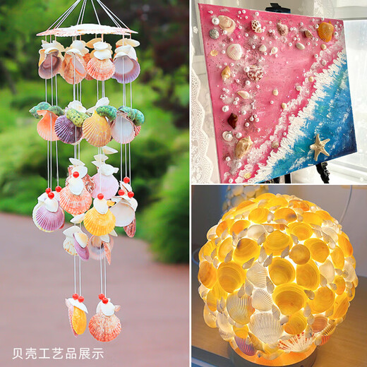 Shells, conches, starfish, fish tank landscaping, handmade diy materials, photo frames, wind chimes, drift bottles, decorative small gifts, 5 bread starfish, 5-7.5cm