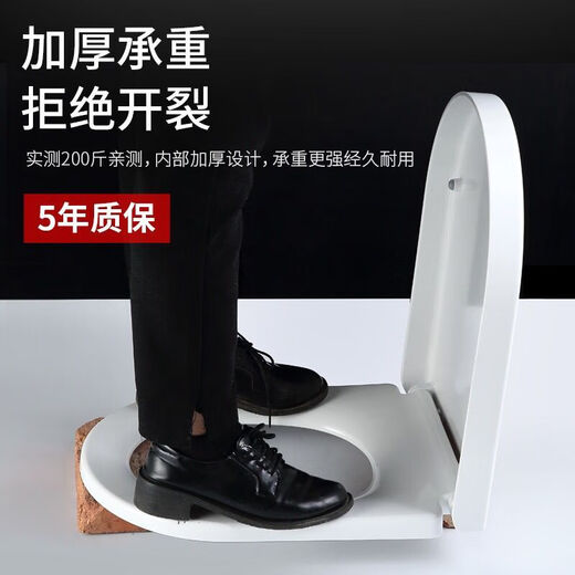 ABANNWA Anwar adapts to aG1368/aB1393/1318/1069/1368/NL119/107L toilet lid G.ureaform aG1349