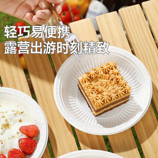 Meliya disposable plate large food grade 23cm*30 camping picnic fruit barbecue cake plate