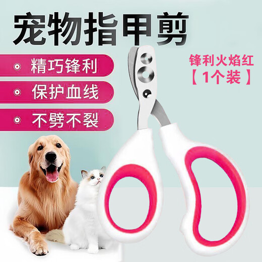 Cat nail clipper small blind clipper nail clipper special pet clipper nail clipper artifact novice pet cat nail clipper double hole pet nail clipper